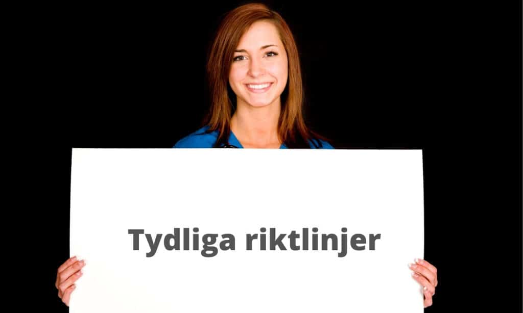 2. Tydliga riktlinjer är a och o